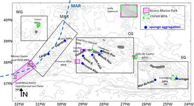 Larval dispersal and physical connectivity of Pheronema carpenteri populations in the Azores